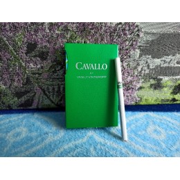 Cavallo Vasiliy Vinteroff Nano (ментол)